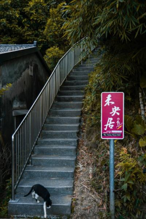 Way Young House